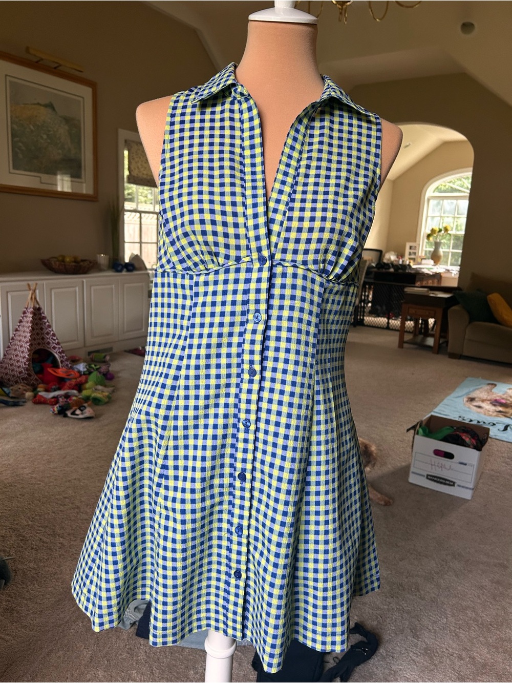 Urban Outfitters Blue and Yellow Gingham Sleeveless Button Dress